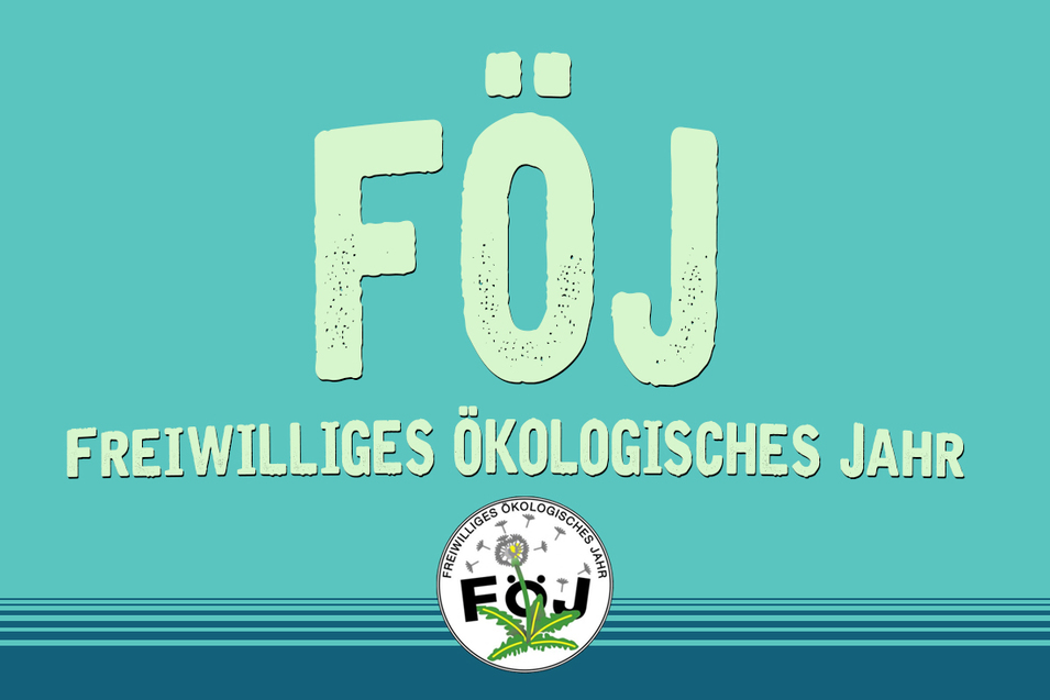 846c6dd11938c2ff4242b17241ef67954a2e220c