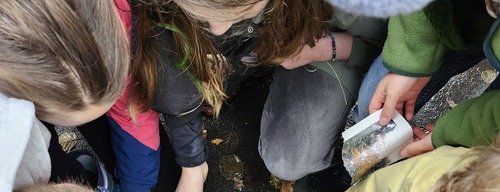 0240e17fd4dd293925c18ba34b9f612b3b718722