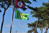 9df26fb1ee8370086e95b3a9c82a6eb1f779a62b