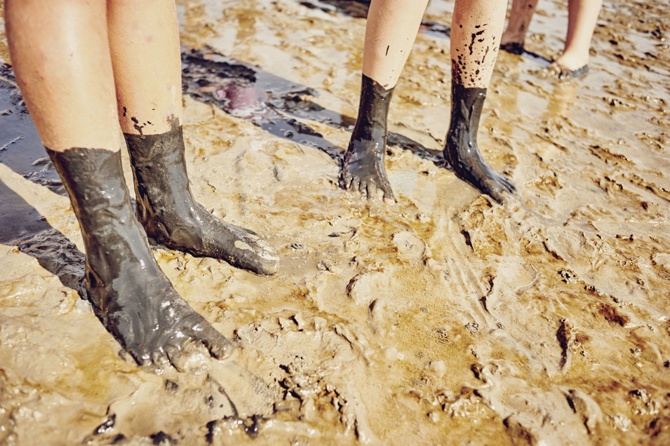 B81e78eaaa3a536e1ee74a6911ad762a4f2fb734