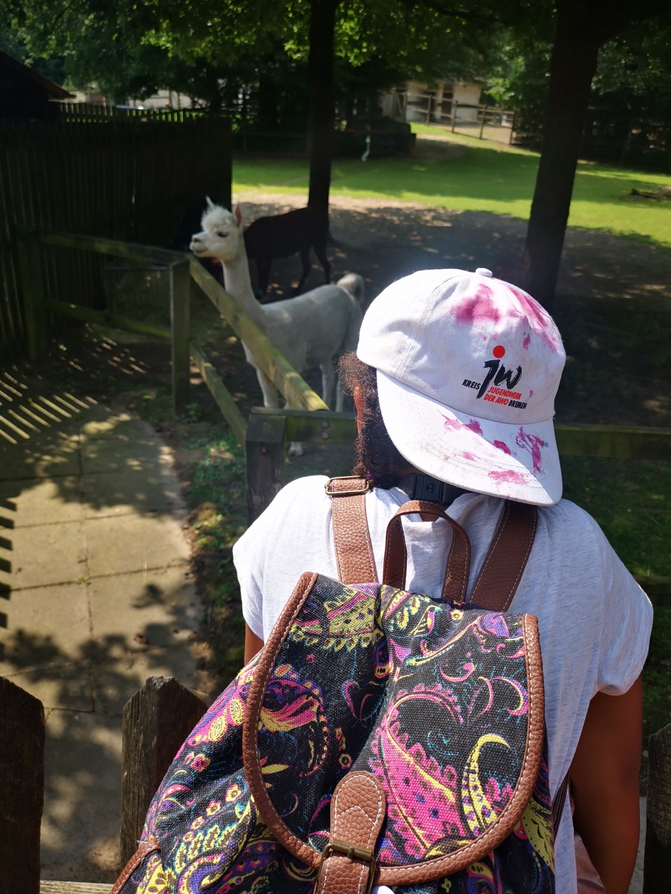 8903513890d100dcb1bfa37830bd0250ba0fef39