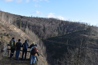 Eine Gruppe überschaut von einer Aussichtsplattform die Bergige Landschaft und kahlen Bäume Aa2a1eeb669aee85b4f26006cf988afd823e2f4f