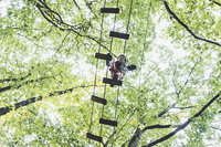 4618c9a771ab4ae3dd1e322a1234b3f822cc1c57