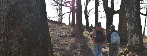 Eine Gruppe steigt zwischen kahlen Bäumen einen Berg hinauf. Cbd8f96db07c90e2449b029989fd51222ef6c757