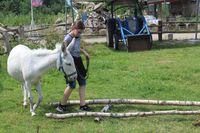 329979db5cc750573f6d5584df59f3b9c32f1061