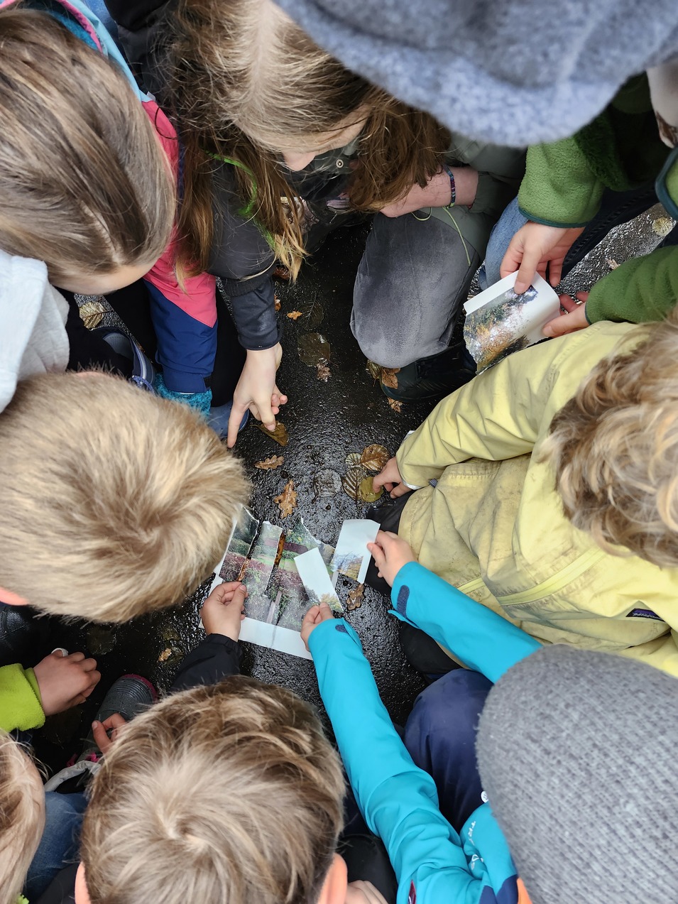 34130b3943ae930d3a335e494c66028c0c77236c