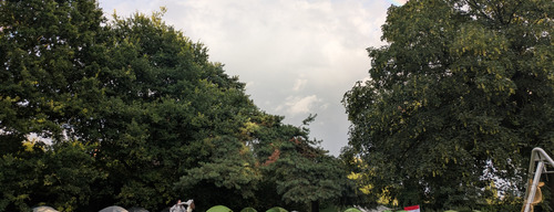 D64d239191dc42360a128de9baed28db3071e584