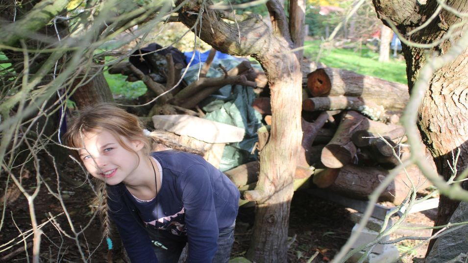 Versteck im Wald Bf6deeb9cae44d44d06af672186e15060b73488c