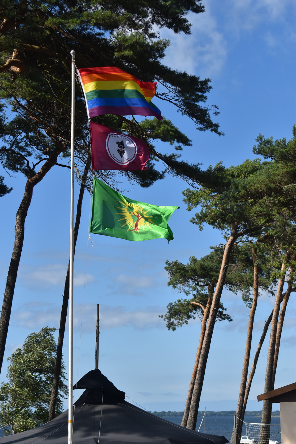 Dcb2e3b9bdca3fb415cdcd436426dcea71071492