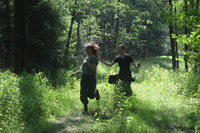 Zwei Jugendliche laufen lächelnd durch einen Wald. Ea5e77ed58f1a2e520c900184cf921a25863b294