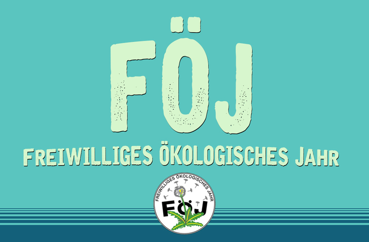 8fec86f8006359aac157cc6df1c71e3326b7ab9a