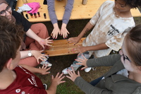 E219832036592c1c5a34387b1017014a32a1aaa3