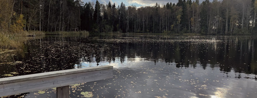 Blick auf den See der Unterkunft E8faf1dc2adff73cb05fb3b8886bf879551e05ce