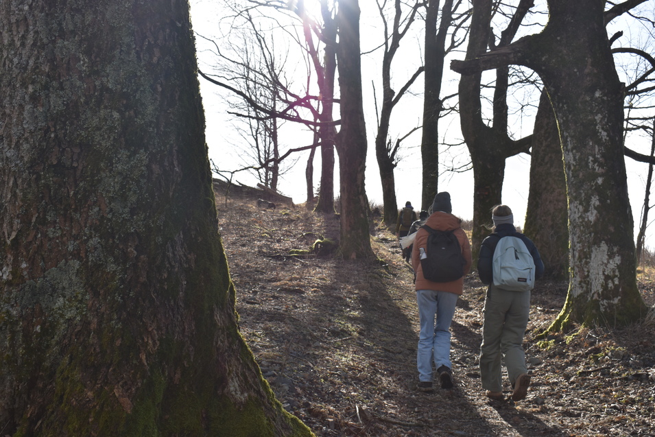 Baa822a1e8350bb5979a53091d088872fc5328d6