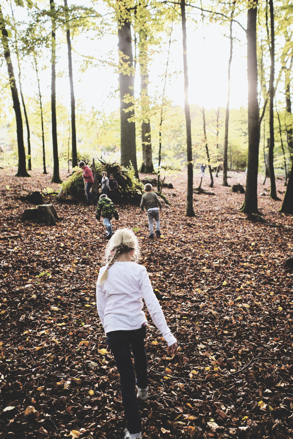 27e6e0054576910bb05526efe7e7078615a0e8d9