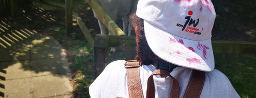 D798c86bf3f22ec6a652670dc4b99ad0b4acf5e4