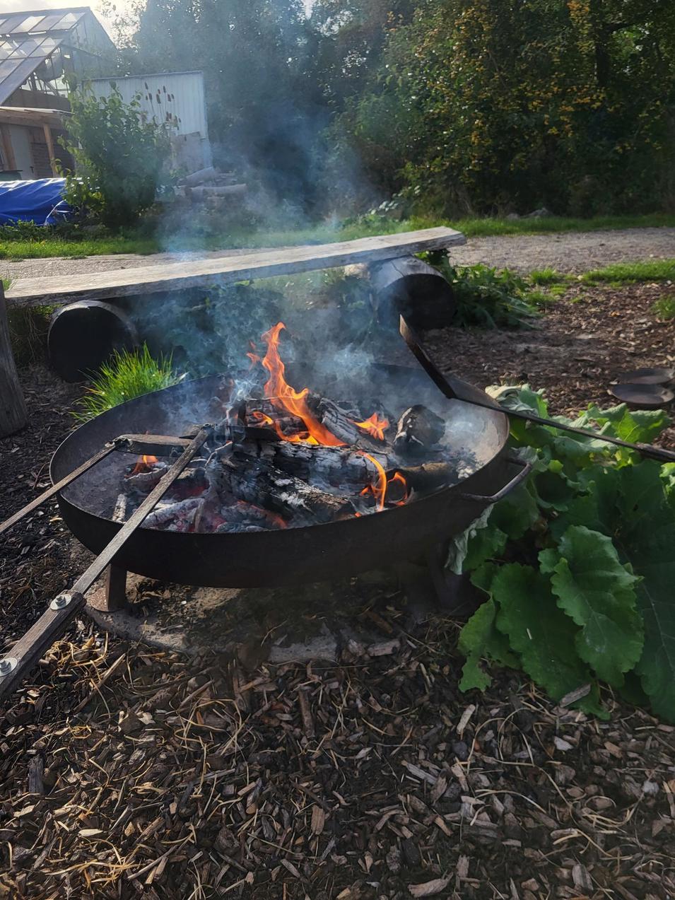 2561795a32cb9ed4e8a72187bfe52385a51ee1fc